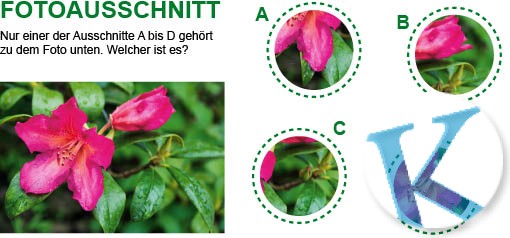 Fotoausschnitt