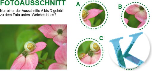 Fotoausschnitt