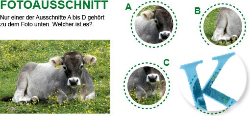 Fotoausschnitt