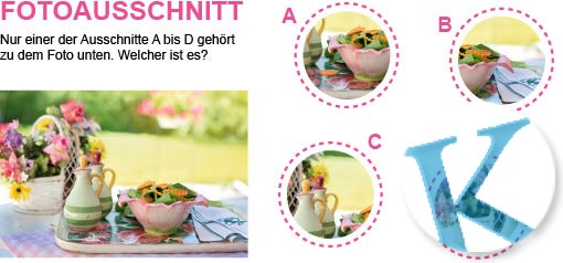 Fotoausschnitt