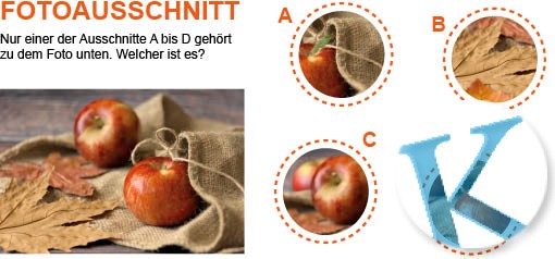 Fotoausschnitt