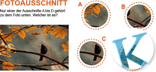 Fotoausschnitt