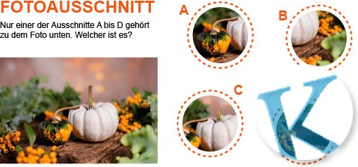 Fotoausschnitt