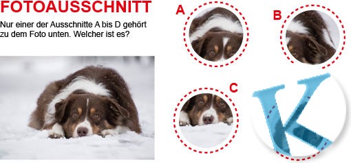 Fotoausschnitt
