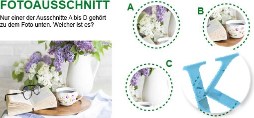 Fotoausschnitt