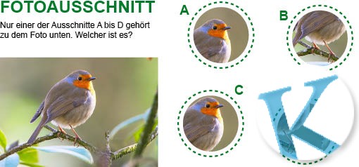 Fotoausschnitt
