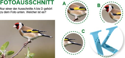 Fotoausschnitt