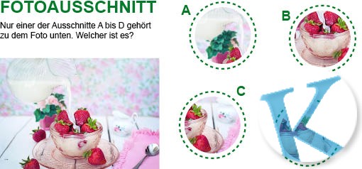 Fotoausschnitt