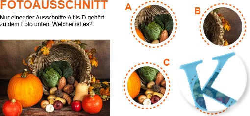 Fotoausschnitt