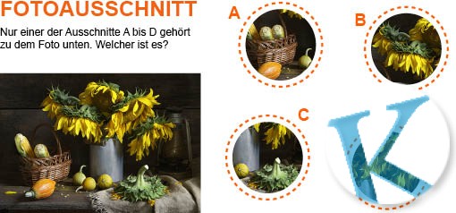 Fotoausschnitt