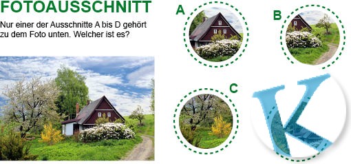 Fotoausschnitt