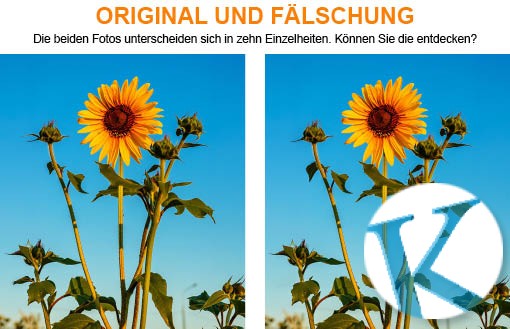 Original und Fälschung