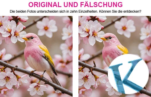 Original und Fälschung