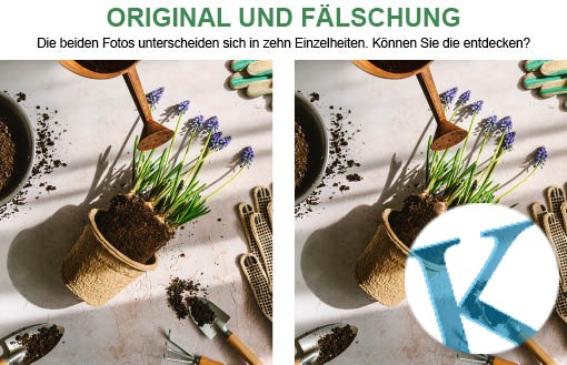 Original und Fälschung