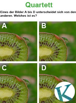 Quartett