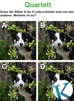 Quartett