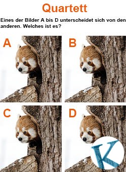 Quartett