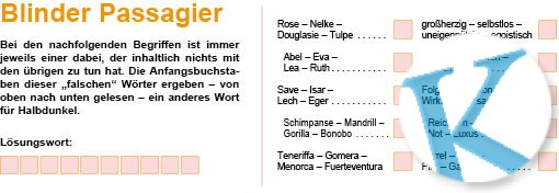 Blinder Passagier