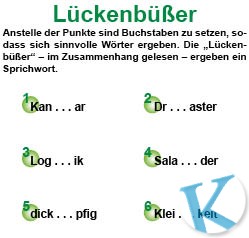 Lückenbüßer