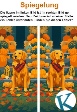 Spiegelung