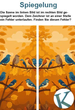 Spiegelung