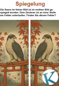 Spiegelung