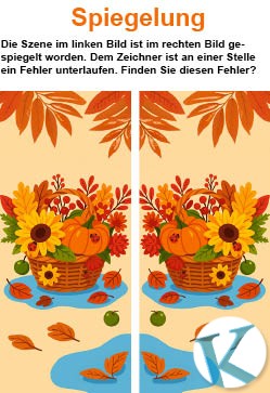Spiegelung