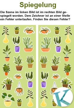 Spiegelung