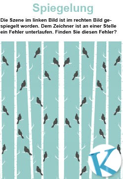 Spiegelung