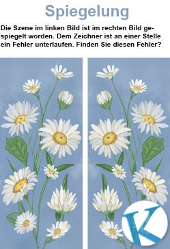Spiegelung