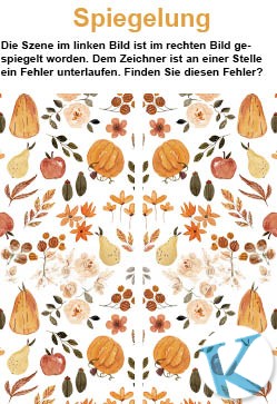 Spiegelung