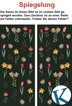 Spiegelung