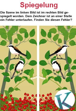 Spiegelung