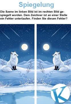 Spiegelung